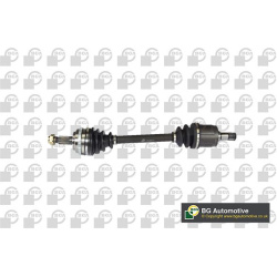 pusašis
                                BGA                                                DS2500RA, BGA, DS2500RA, auto det