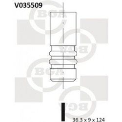 išmetimo vožtuvas
                                BGA                                                V035509, BGA, V035509,