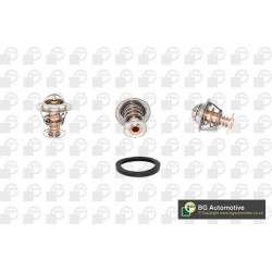termostatas, aušinimo skystis
                                BGA                                                CT5306K, BG