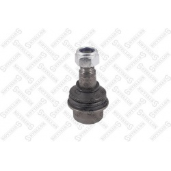 Šarnyras
                                STELLOX                                52-01527-SX, STELLOX, 52-01527-SX, auto deta