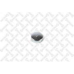 užšalęs kaištis
                                STELLOX                                                75-52754-SX, STELL