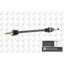 pusašis
BGA DS1420R, BGA, DS1420R, auto detal