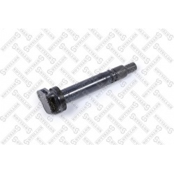 ritė, uždegimas
                                STELLOX                                61-00180-SX, STELLOX, 61-00180-SX, a