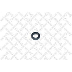 veleno sandariklis, neautomatinė transmisija
                                STELLOX                                34-00031