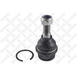 Šarnyras A
                                STELLOX                                52-00006A-SX, STELLOX, 52-00006A-SX, auto 