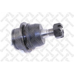 Šarnyras
                                STELLOX                                                52-03355-SX, STELLOX, 52-033