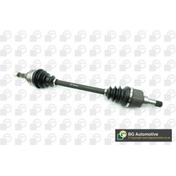 pusašis
                                BGA                                                DS1420L, BGA, DS1420L, auto detal