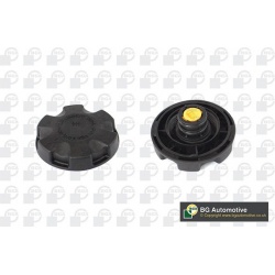 dangtelis, radiatorius
                                BGA                                                CC0900, BGA, CC0900