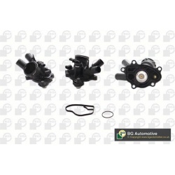 termostatas, aušinimo skystis
                                BGA                                                CT5690, BGA