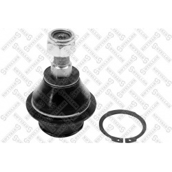 Šarnyras
                                STELLOX                                52-01460-SX, STELLOX, 52-01460-SX, auto deta