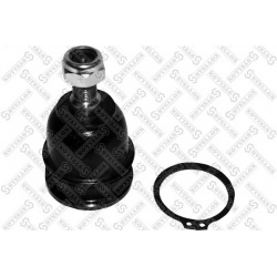 Šarnyras
                                STELLOX                                52-02598-SX, STELLOX, 52-02598-SX, auto deta