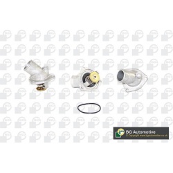 termostatas, aušinimo skystis
                                BGA                                                CT5256, BGA