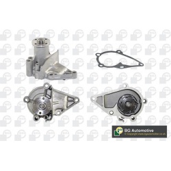 Vandens siurblys, variklio aušinimas
                                BGA                                                CP18