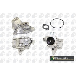 Vandens siurblys, variklio aušinimas
                                BGA                                                CP66