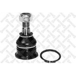 Šarnyras
                                STELLOX                                52-01577-SX, STELLOX, 52-01577-SX, auto deta