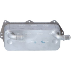 Aušintuvas tepalo
                                NRF                                                31856, NRF, 31856, auto