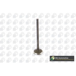 išmetimo vožtuvas
                                BGA                                                V541212, BGA, V541212,