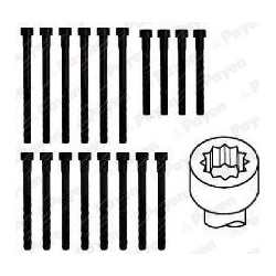 varžtų kompl., cil. galvutės varžtai
                                PAYEN                                               