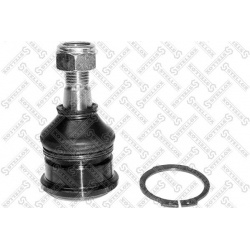 Šarnyras
                                STELLOX                                                52-01889-SX, STELLOX, 52-018