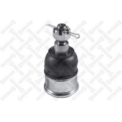 Šarnyras
                                STELLOX                                52-00181-SX, STELLOX, 52-00181-SX, auto deta
