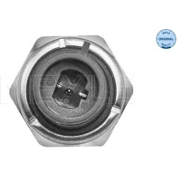 Daviklis tepalo slėgio lemputės
                                MEYLE                                614 820 0001, MEYLE, 6