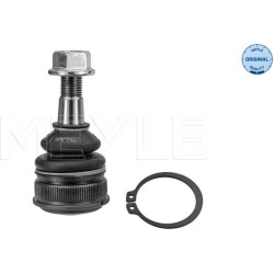 Šarnyras MEYLE-ORIGINAL: True to OE.
                                                35-16 010 0026, MEYLE, 35-160100026, au