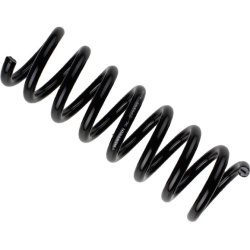 Spyruoklė pakabos
                                BILSTEIN                                36-277193, BILSTEIN, 36-277193, au