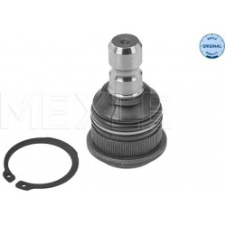 Šarnyras MEYLE-ORIGINAL: True to OE.
                                                28-16 010 0010, MEYLE, 28-160100010, au