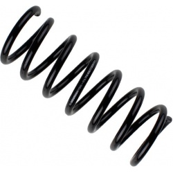 spyruoklė BILSTEIN - B3 OE Replacement
                                                36-317141, BILSTEIN, 36-317141, auto 