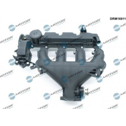 įsiurbimo kolektoriaus modulis
                                Dr.Motor Automotive                                          