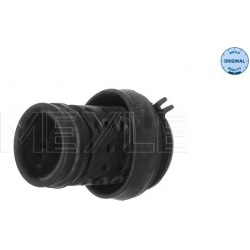 variklio montavimas MEYLE-ORIGINAL: True to OE.
                                                100 199 0062, MEYLE, 10019900