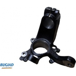 pasukamasis kakliukas, rato pakaba
                                BUGIAD                                                BSP2