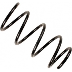 Spyruoklė BILSTEIN - B3 OE Replacement
                                                37-161903, BILSTEIN, 37-161903, auto 
