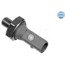 Daviklis tepalo slėgio lemputės
                                MEYLE                                100 800 9068, MEYLE, 1