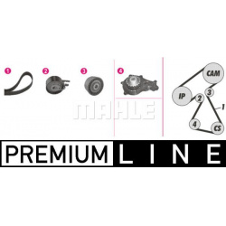 vandens siurblio ir paskirstymo diržo komplektas BEHR *** PREMIUM LINE ***
                                MAHLE            