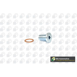 alyvos išleidimo kaištis, alyvos karteris
                                BGA                                              