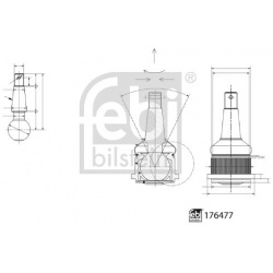 Šarnyras
                                FEBI BILSTEIN                                                176477, FEBI BILSTEIN,
