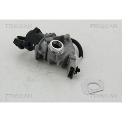 ERG vožtuvas
                                TRISCAN                                8813 16008, Nenurodytas gamintojas, 8813