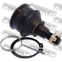 Šarnyras
                                FEBEST                                                0320-EU, Nenurodytas gamintoj