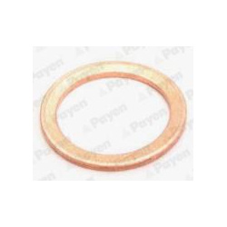 tarpiklis, alyvos išleidimo angos kaištis
                                PAYEN                                            