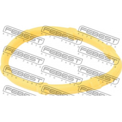 tarpiklis, droselio korpusas
                                FEBEST                                RINGAH-004, Nenurodytas ga