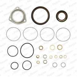 tarpiklių rinkinys, variklio karteris
                                PAYEN                                                E