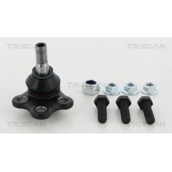 Šarnyras
                                TRISCAN                                                8500 105008, Nenurodytas gam