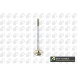 išmetimo vožtuvas
                                BGA                                                V149482, BGA, V149482,