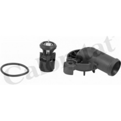 termostatas, aušinimo skystis
                                CALORSTAT by Vernet                                           