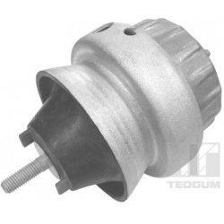 variklio montavimas
                                TEDGUM                                                00056451, TEDGUM, 0