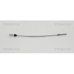 trosas, stovėjimo stabdys
                                TRISCAN                                                8140 131284