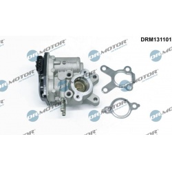 ERG vožtuvas
                                Dr.Motor Automotive                                                DRM131101, D