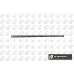 pavaros svirties velenas, vožtuvų eilė
                                BGA                                                