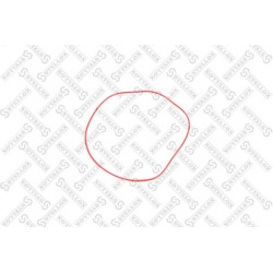 cilindro įvorės tarpiklis
                                STELLOX                                                11-25436-S
